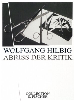cover image of Abriss der Kritik